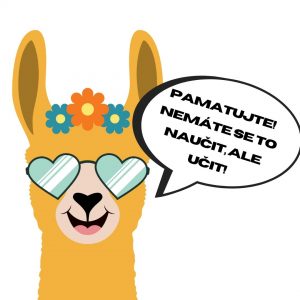 Lama říká: Pamatujte! Nemáte se to naučit, ale učit!