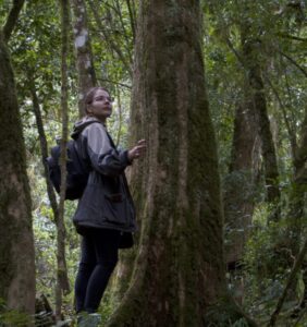 Romandi hiking in a forest in South Africa